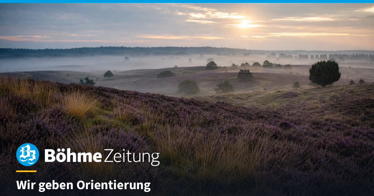 Böhme-Zeitung logo